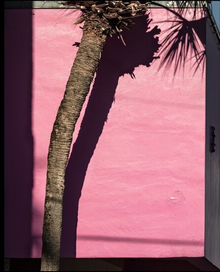 Anastasia Samoylova, ‘Miami Pink’, 2017