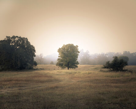 Kate Breakey, ‘Tree in the Mist, Plum Creek, Texas’