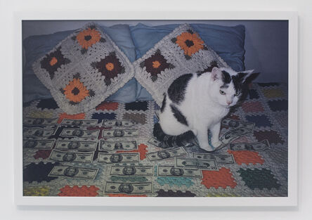Andrew Jeffrey Wright, ‘Angry looking cat sitting on money’, 2003