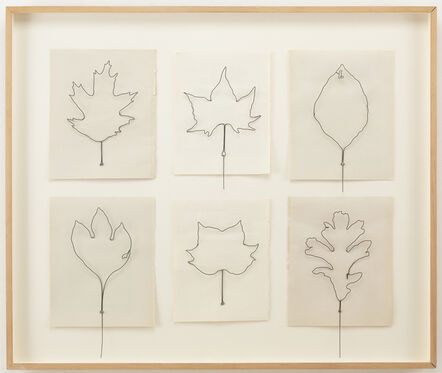 Eric Rhein, ‘Fly Leaves-Gathering of 6 (#8) (from Leaves an AIDS memorial)’, 2004