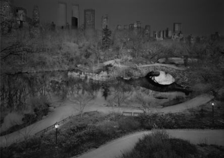 Michael Massaia, ‘Deep In A Dream - Central Park - North West View’, 2014