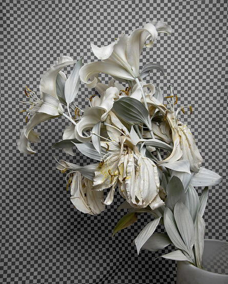 Stephanie Syjuco, ‘Whiteout (Krylon ColorMaster Gloss White on White Oriental Lilies)’, 2019