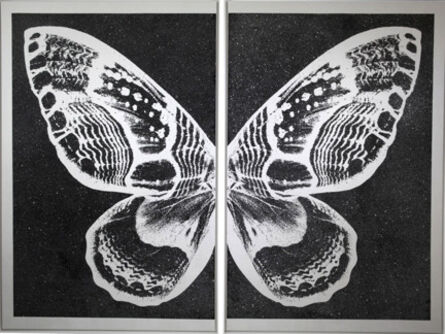 Rubem Robierb, ‘Hybrid Pearl Butterfly on Black’, 2015