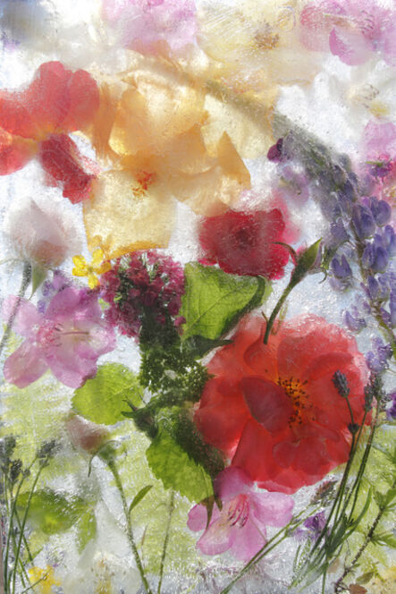 Mary Kocol, ‘The Garden On June 3 2011’, 2011