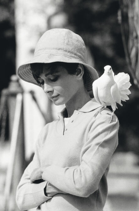 Terry O'Neill, ‘Audrey Hepburn with Dove’, 1966