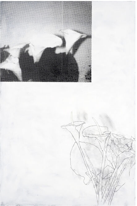Julião Sarmento, ‘Plant, Plant, Black, White’, 2009