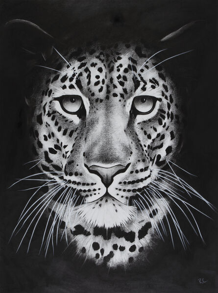 Rose Corcoran, ‘5. Night Leopard’, 2018