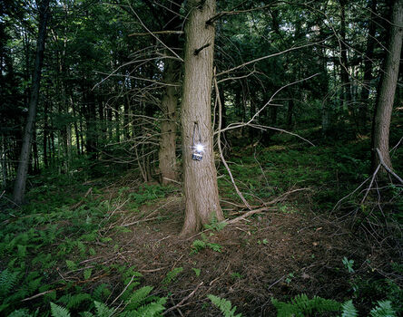 Adam Ekberg, ‘A camera in the forest’, 2008