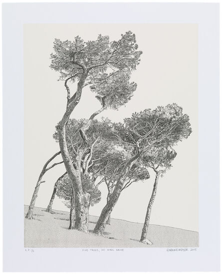 Anton Kannemeyer, ‘Pine Trees, De Waal Drive’, 2015