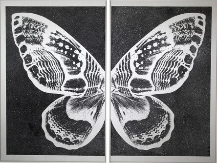 Rubem Robierb, ‘Hybrid Silver Butterfly I on Black’, 2016