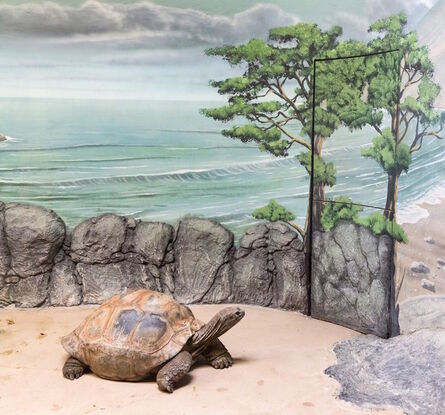 Eric Pillot, ‘Turtle, Wave and Door’, 2015