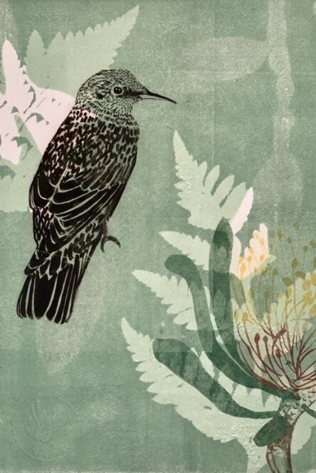 Trudy Rice, ‘Baby Wattle bird and Waratah flower’, 2019