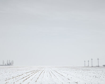Tamas Dezso, ‘Winter Corn Field (near Turda, West Romania), 2012’, 2012