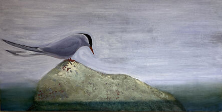 Nora Charney Rosenbaum, ‘Arctic Tern’, 2020