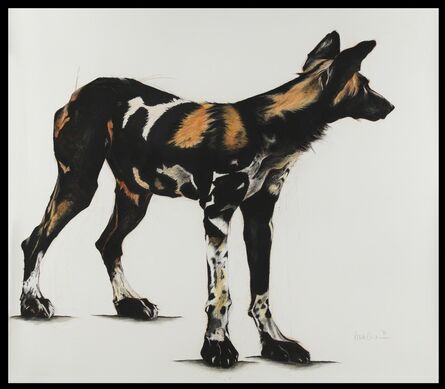 Rose Corcoran, ‘28. Large African Wild Dog IV’
