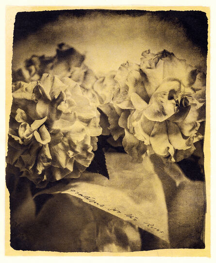 Brigitte Carnochan, ‘Grateful for the Roses’, 2018
