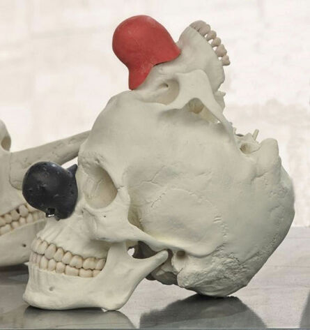 Bene Bergado, ‘Cráneo de Homo Ridensis’, 2016