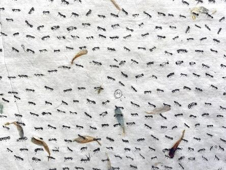 Fumiko Toda, ‘Ants (Petal)’, 2022