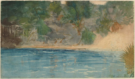 Winslow Homer, ‘Blue Spring, Florida’, 1890