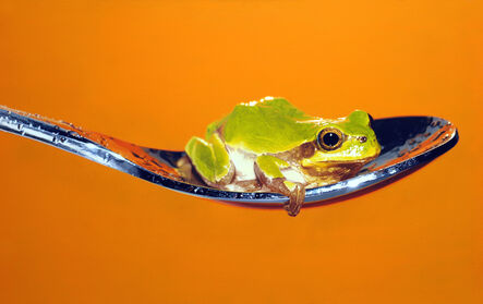 Young-Sung Kim, ‘Nothing.Life.Object (Frog on Spoon)’, 2015