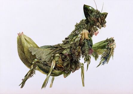 Ikeda Manabu, ‘Grass Mantis’, 2004