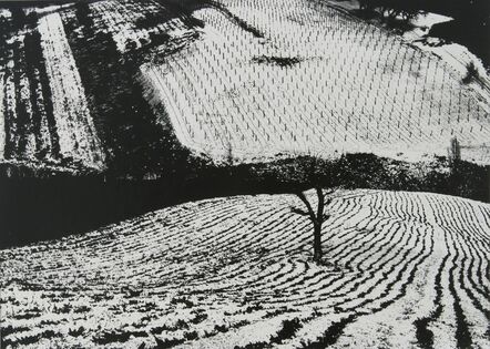 Mario Giacomelli, ‘Paesaggio fotomeccanico’, 1965