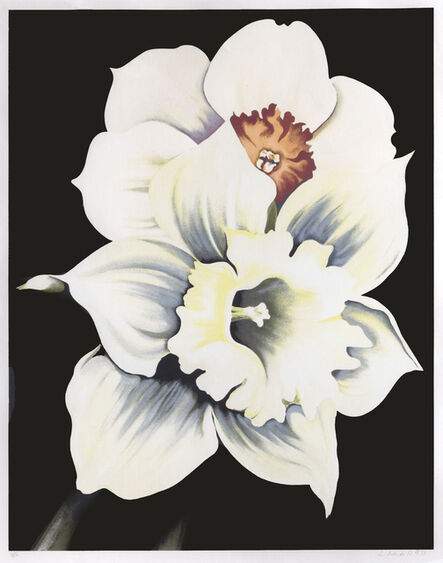 Lowell Nesbitt, ‘Two White Flowers’, 1978