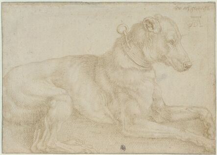 Albrecht Dürer, ‘Dog Resting’, c. 1520