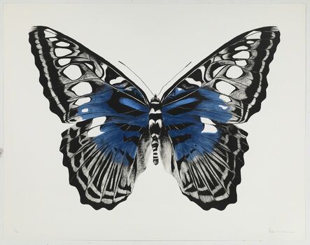 Rose Corcoran, ‘Butterfly Blue Silkscreen’