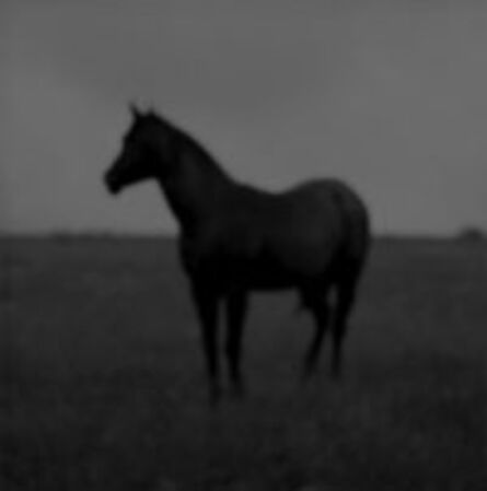 Jock McDonald, ‘Horse’, 2010