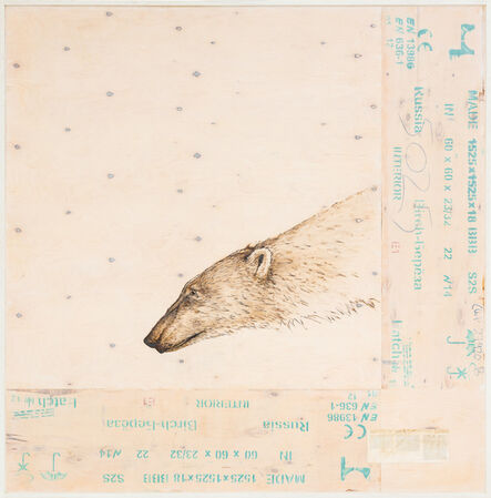 Joseph Rossano, ‘EDNA: Ursus maritimus (Polar Bear)       ’, 2015