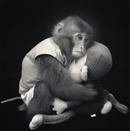 Hiroshi Watanabe, ‘Big with Monkey Doll’