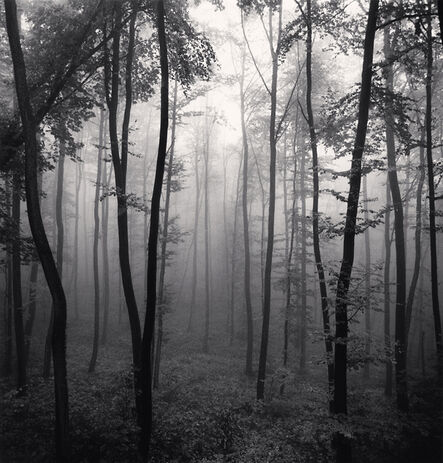 Michael Kenna, ‘Jura Forest, Dornach, Switzerland’, 1993