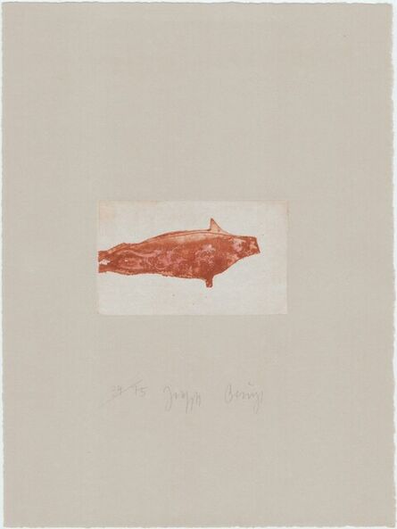 Joseph Beuys, ‘Zirkulationszeit: Meerengel Robbe II’, 1982