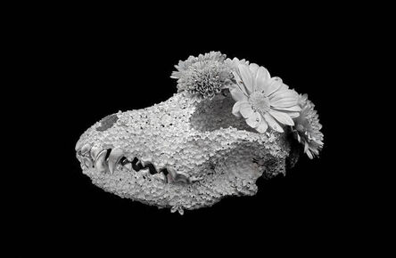 Kengo Takahashi, ‘Flower Funeral - Airedale- ’, 2018