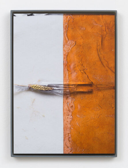 Jesse Stecklow, ‘Untitled (Fly tapes: Potential Derivatives)’, 2015