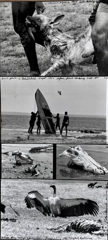 Peter Beard, ‘Last Photo of 'The Curse', Alia Bay Sept’, 1966