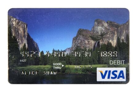 Alice Shaw, ‘Unemployment Debit Card For Out of Work Artist From The Ansel Adams School of Photography’, 2014
