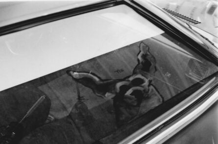 Arabella Colton, ‘Wall Dog — Zit Car Window, Mission St, San Francisco 1992 ’, 1992