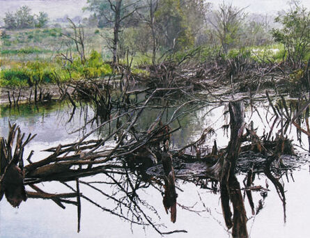James Van Pattern, ‘Charlotte Valley Swamp’