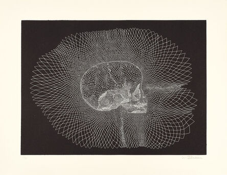 Walter Oltmann, ‘Infant Skull’, 2015