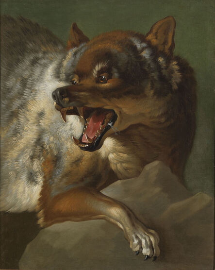 Giuseppe Baldrighi, ‘A Wolf’, 1752-1756