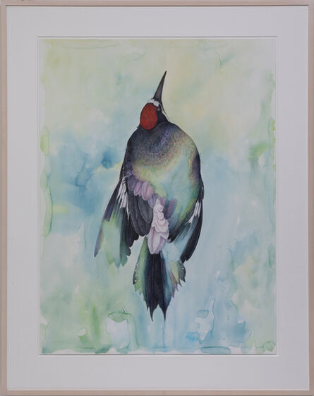 Noel Grunwaldt, ‘Acorn Woodpecker’, 2010