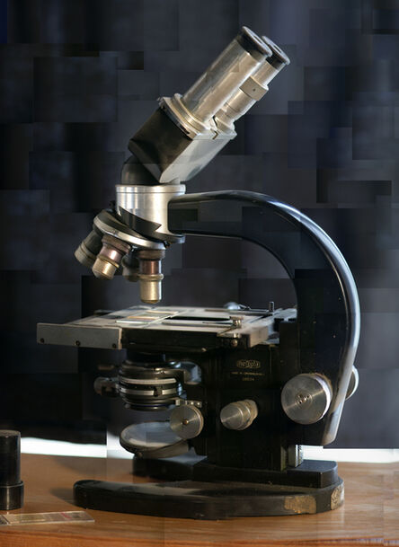 Yuval Yairi, ‘Microscope’, 2004