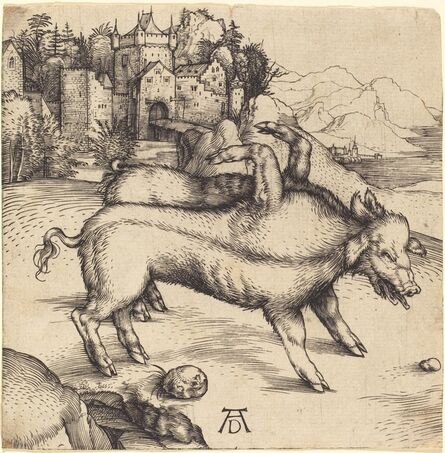 Albrecht Dürer, ‘The Monstrous Pig of Landser’, Probably 1496