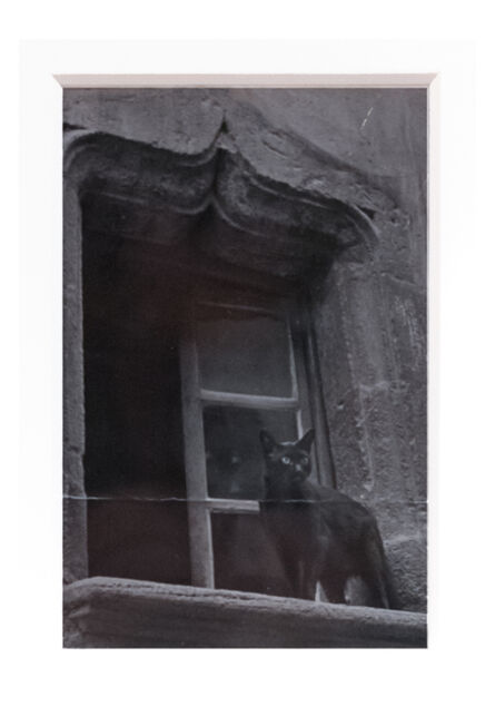 Brassaï, ‘Chat à la fenêtre’, ca. 1960