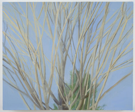 Sylvia Plimack Mangold, ‘Winter Maple’, 2007