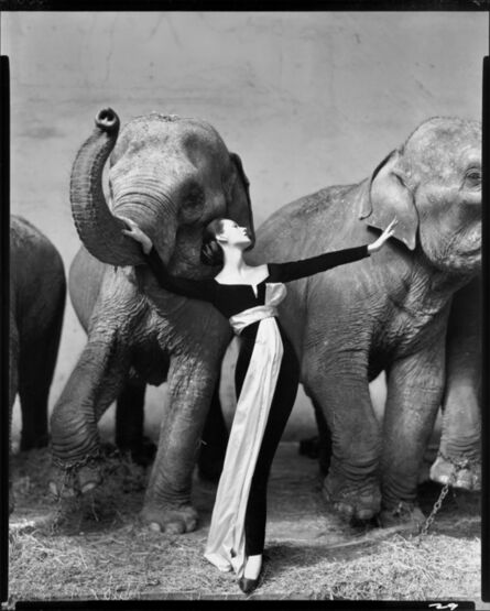 Richard Avedon, ‘Dovima with Elephants, Evening Dress by Dior,   Cirque d'Hiver, Paris, France’, August 1955