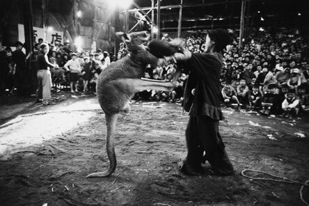 Akira Tanno, ‘Boxing, Kigure Circus’, 1957-vintage print