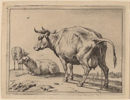 Paulus Potter, ‘Pissing Cow’, 1650